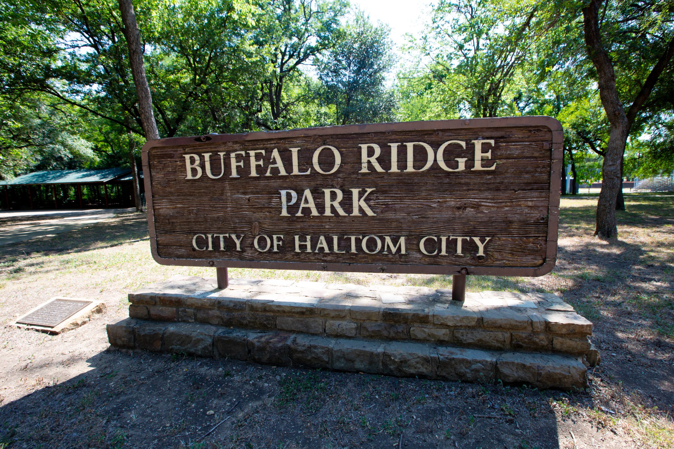 Artificial grass in Haltom City, TX