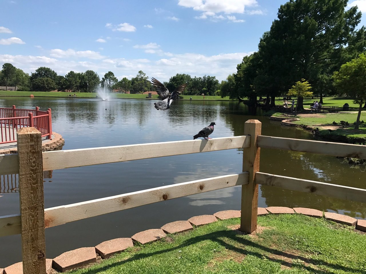 Artificial grass in Hurst, TX