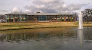 Artificial grass in Keller, TX