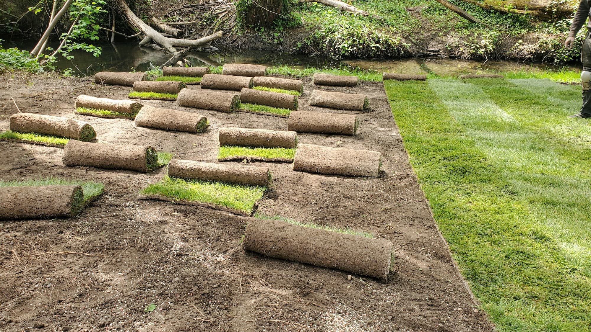 Artificial Turf Removal And Disposal in Euless, TX